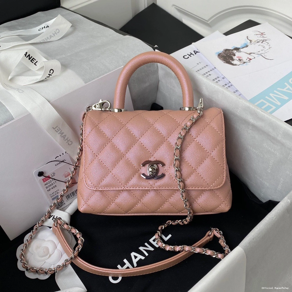 HyperPeter BAG TOP FLAP WITH MINI HANDLE CHANEL 0807